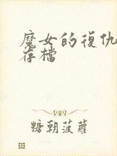 魔女的复仇之夜存档