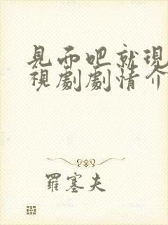 见面吧就现在电视剧剧情介绍