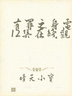 有罪之身电视剧12集在线观看