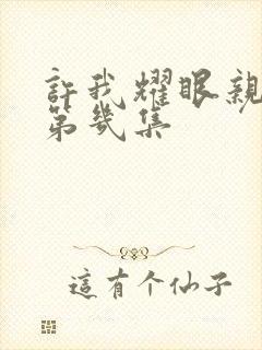 许我耀眼亲热在第几集