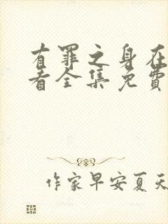 有罪之身在线观看全集免费高清