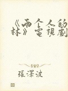 《两个人的小森林》电视剧免费