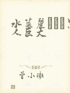 水菜丽あかり黑人巨大封面