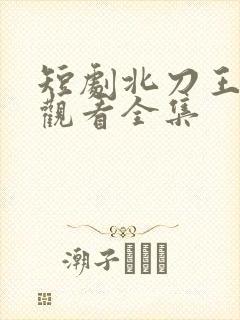 短剧北刀王免费观看全集封面