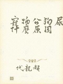 宠物公狗尿血是什么原因