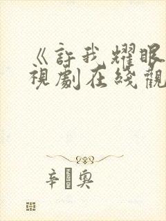 《许我耀眼》电视剧在线观看完整版