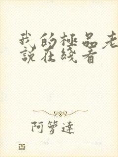 我的极品老婆小说在线看