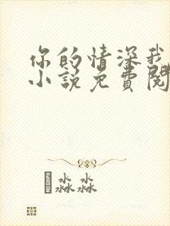 你的情深我不配小说免费阅读全文封面