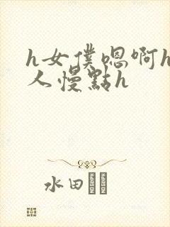 h女仆嗯啊h主人慢点h封面