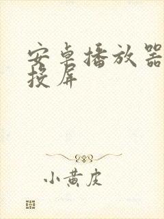 安卓播放器支持投屏