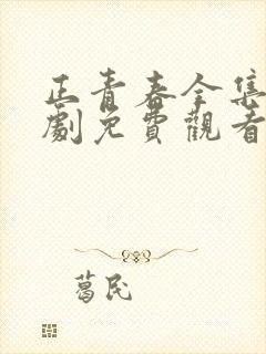 正青春全集电视剧免费观看