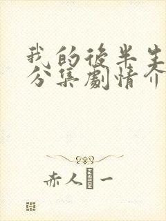 我的后半生剧情分集剧情介绍