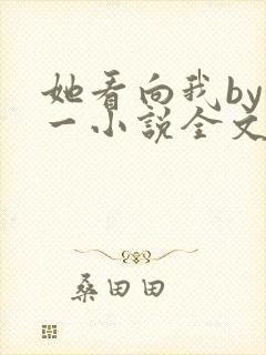她看向我by徐一小说全文免费阅读