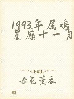 1993年属鸡农历十一月的一生命运封面