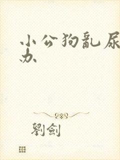 小公狗乱尿怎么办