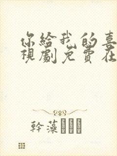 你给我的喜欢电视剧免费在线观看