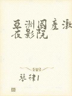 亚洲国产激情午夜影院