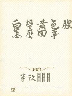 白带黄色腥臭是怎么回事封面