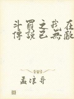 斗罗之我在龙王传说已无敌封面