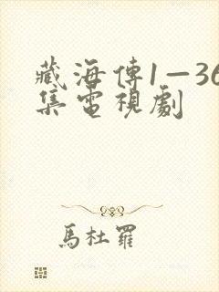 藏海传1—36集电视剧