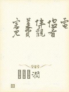 完美伴侣电视剧免费观看