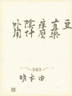 外阴痒有豆腐渣用什么药