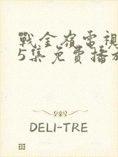 战金岭电视剧45集免费播放