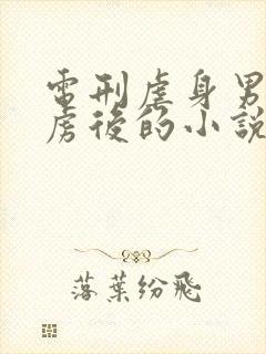 电刑虐身男被俘虏后的小说叫什么名