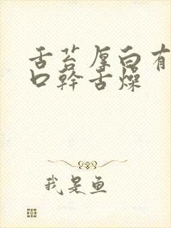 舌苔厚白有齿痕口干舌燥