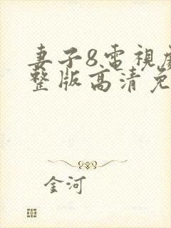 妻子8电视剧完整版高清免费