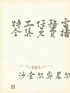 特工任务电视剧全集免费播放封面