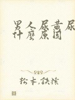 男人尿黄尿臭是什么原因