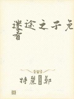 迷途之子免费观看封面