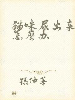 猫咪尿出来有血怎么办封面