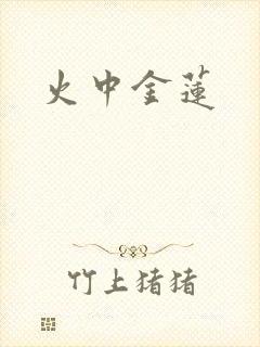 火中金莲封面