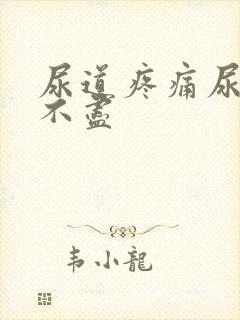 尿道疼痛尿频尿不尽