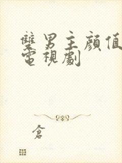 双男主颜值高的电视剧