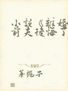 小说《离婚后,前夫后悔了》封面