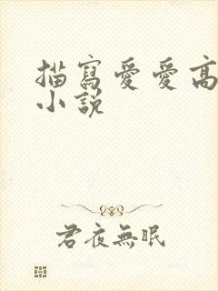 描写爱爱高潮的小说