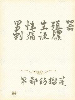 男性生殖器小便刺痛流脓