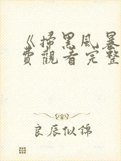 《扫黑风暴》免费观看完整版