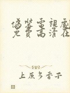 伪装电视剧全集免费高清在线观看封面