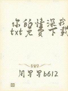 你的情深我不配txt免费下载