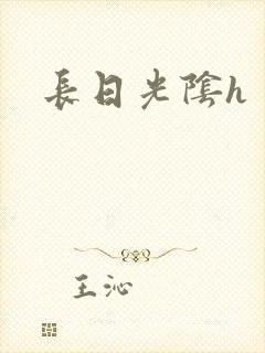 长日光阴h封面