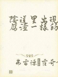 阴道里出现像豆腐渣一样的分泌物