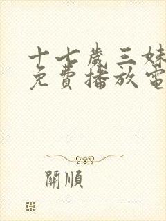 十七岁三妹全集免费播放电视剧