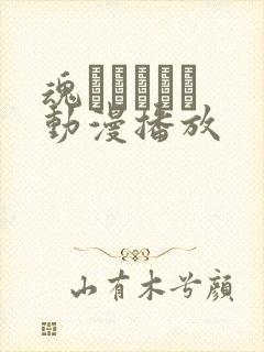 魂インサート 动漫播放