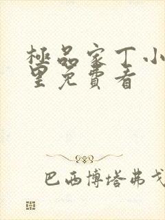 极品家丁小说哪里免费看封面