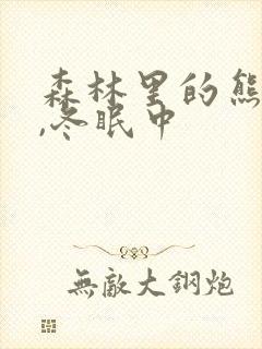 森林里的熊先生,冬眠中