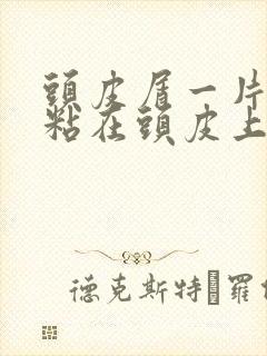 头皮屑一片一片粘在头皮上